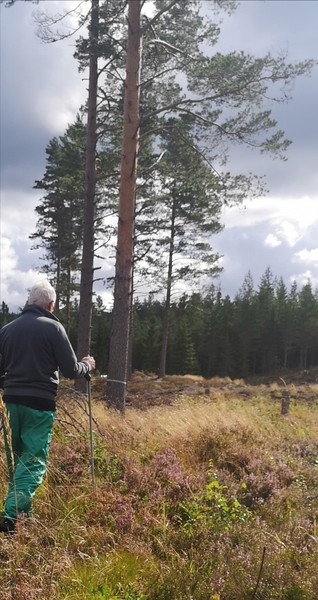 Klicka för att se förhandsgranska